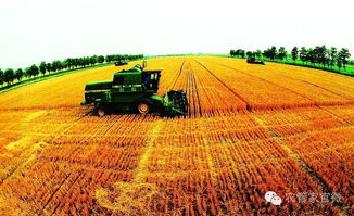 国家现代农业示范区 农民与种植技术开发的共赢新篇章