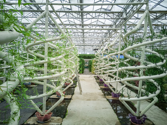 科技赋能现代农业 探析农业种植技术的创新与发展