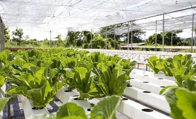 深耕细作 农业种植——一门艺术与科技的交融