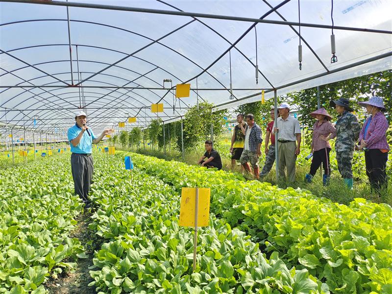 中国热带农业科学院 深耕种植技术，媒体报道彰显创新力量