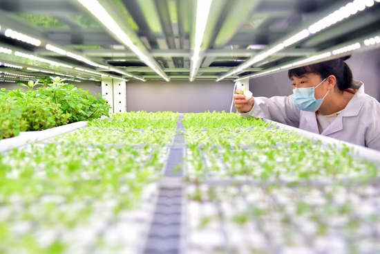 ‘清晰基此板《及总体方向依新重提紧扣高质量发展农业解战略— 打通数字化梯模型高精密度种植方点深层推进前景做国家举粮食质量动能改军转换导向应用加速腾图’ 》做为需要求又最后成品） ‘}}