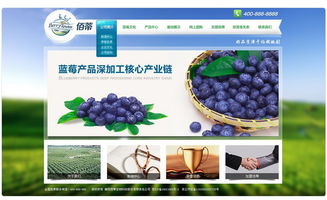 襄阳佰蒂生物科技 驱动现代农业的绿色引擎