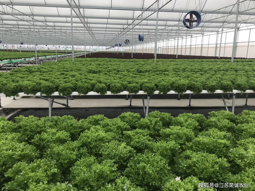 重视土壤改良 农业种植技术的核心基石