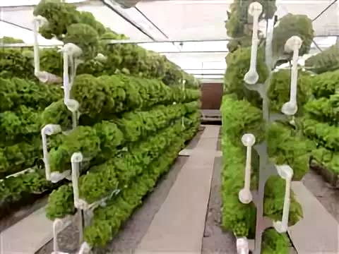 彩虹故乡，又踏层峰望眼开 互助县经济社会发展纪实中的农业种植技术开发